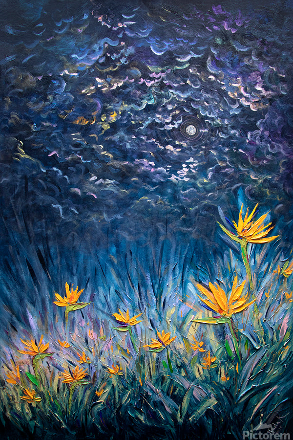 Bird of Paradise Glow | Limited Edition Print