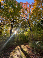 Guided By Light