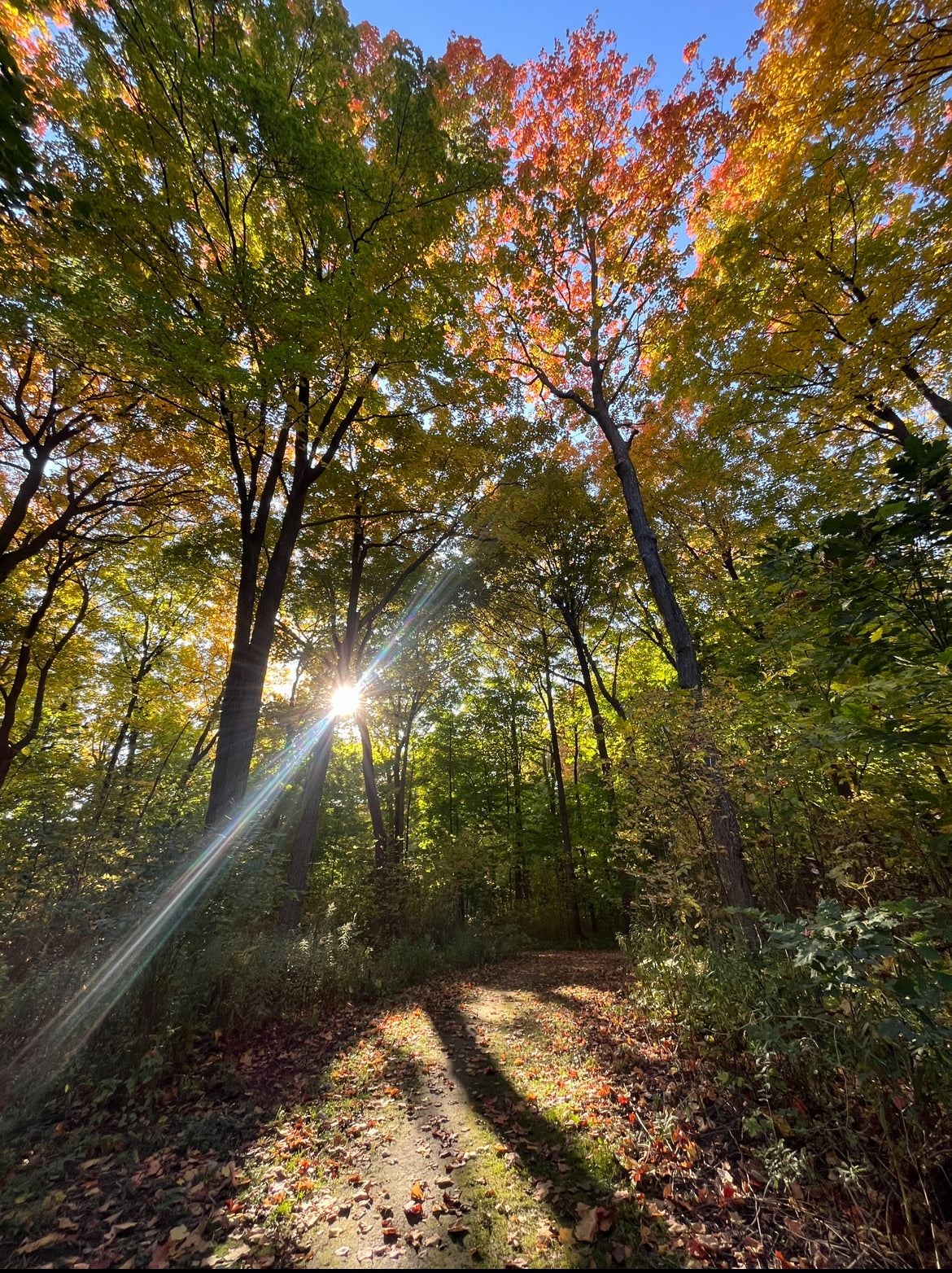 Guided By Light