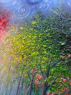 Starry Autumn Night | Original