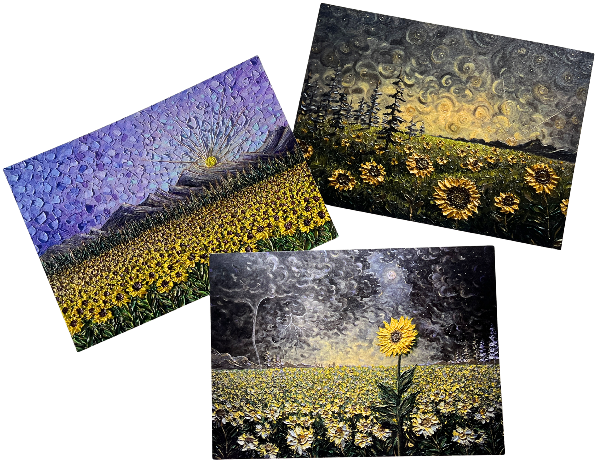 Follow The Light | Set of 3 Prints