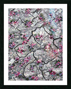 Through The Concrete | Open Edition Print
