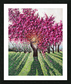 Magnificence | Open Edition Print