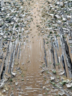 "The Path To Purpose"